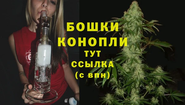 МДПВ Семилуки