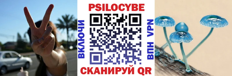 Галлюциногенные грибы Psilocybine cubensis  купить   blacksprut зеркало  Узловая 